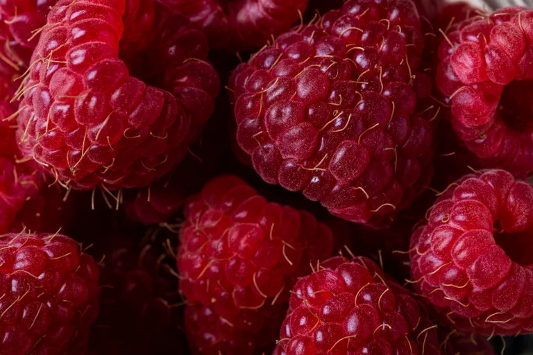 Red Raspberries