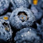 Blueberries