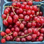 red currants
