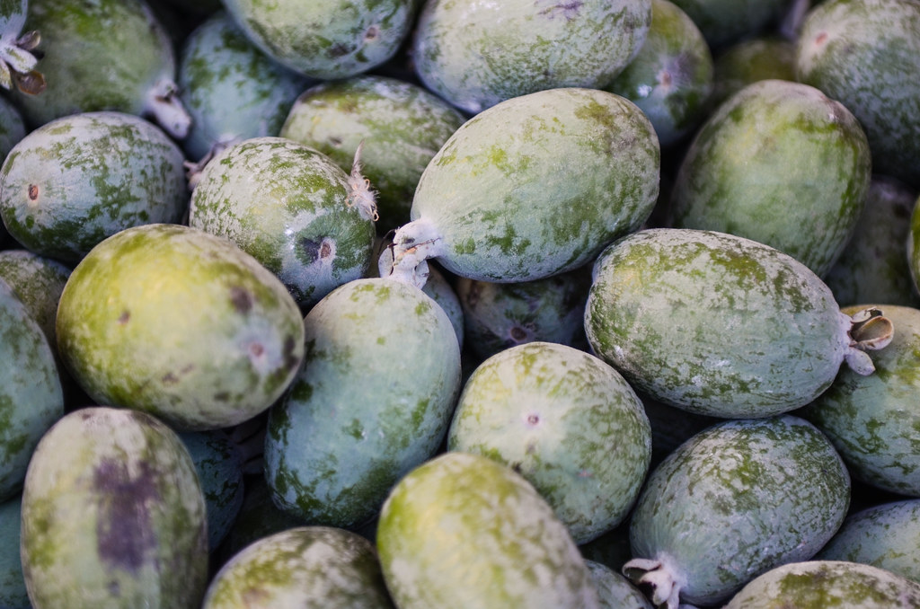 Feijoa