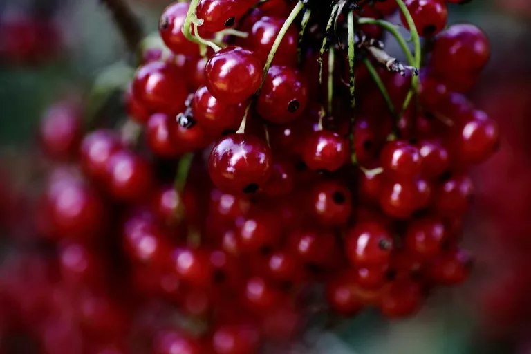 76a91b48 381a 46fb bc0a e7dd2d6db123