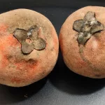 eccce000 8f89 4ab9 94b0 e07d68e3d0dc 1