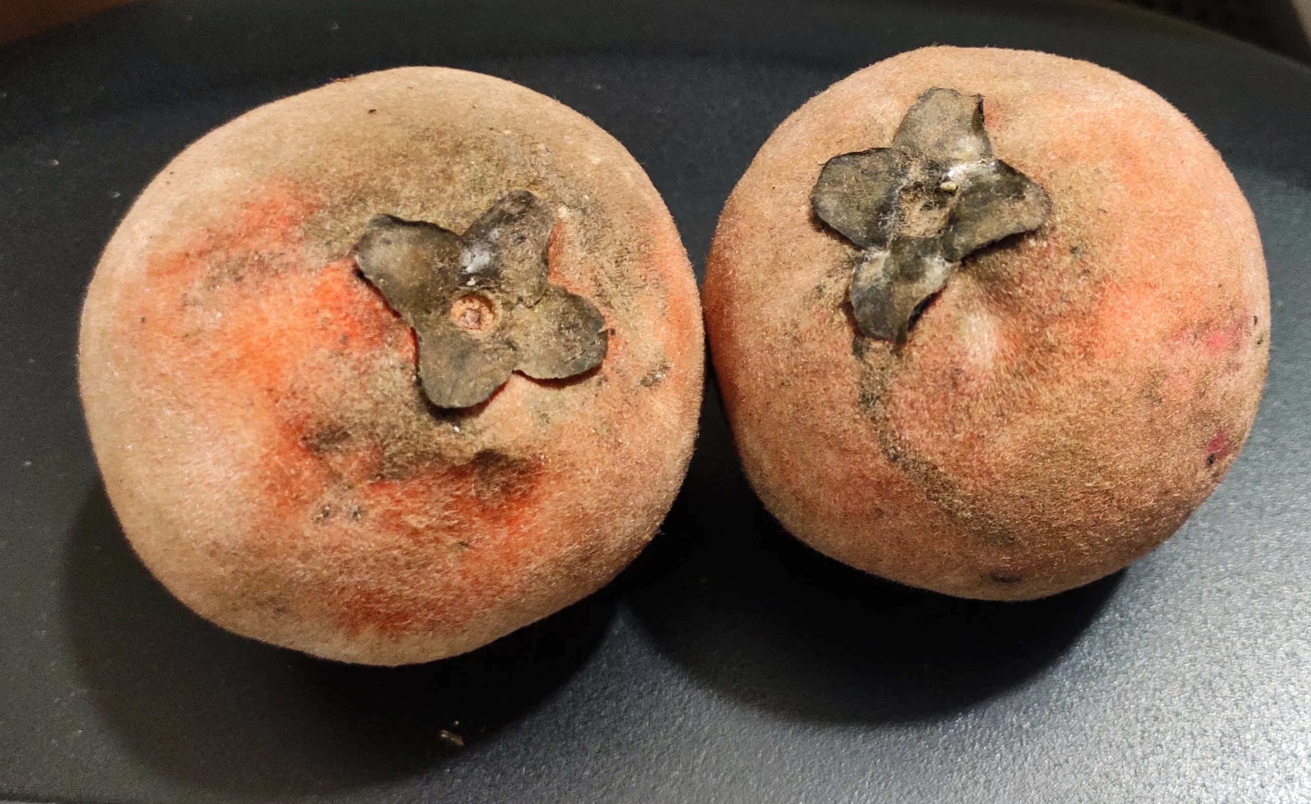 eccce000 8f89 4ab9 94b0 e07d68e3d0dc 1 scaled