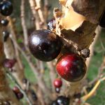 fb45a6f6 81f0 469c ac22 9a46891dbd2e