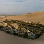 pexels mariacamila 7435822